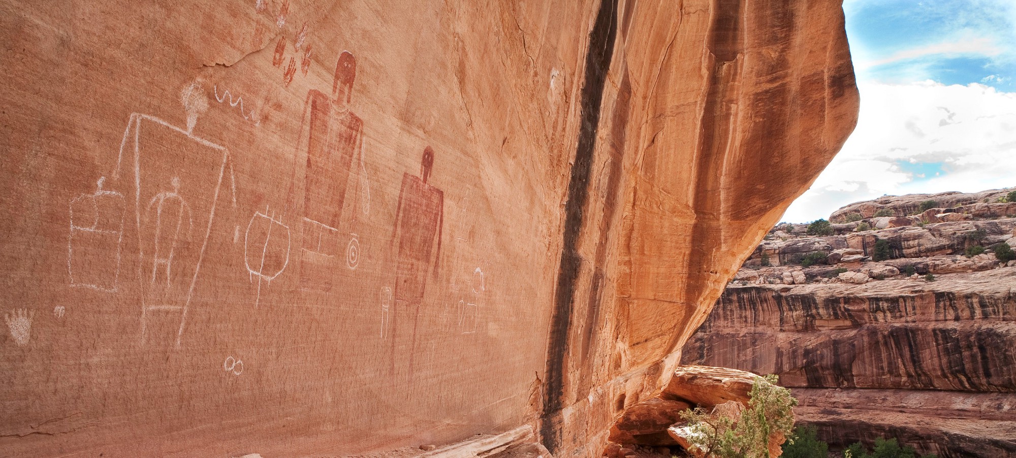 Protecting Bears' Ears Strategies For Keeping Our Majestic Animals Safe Home Recording Pro