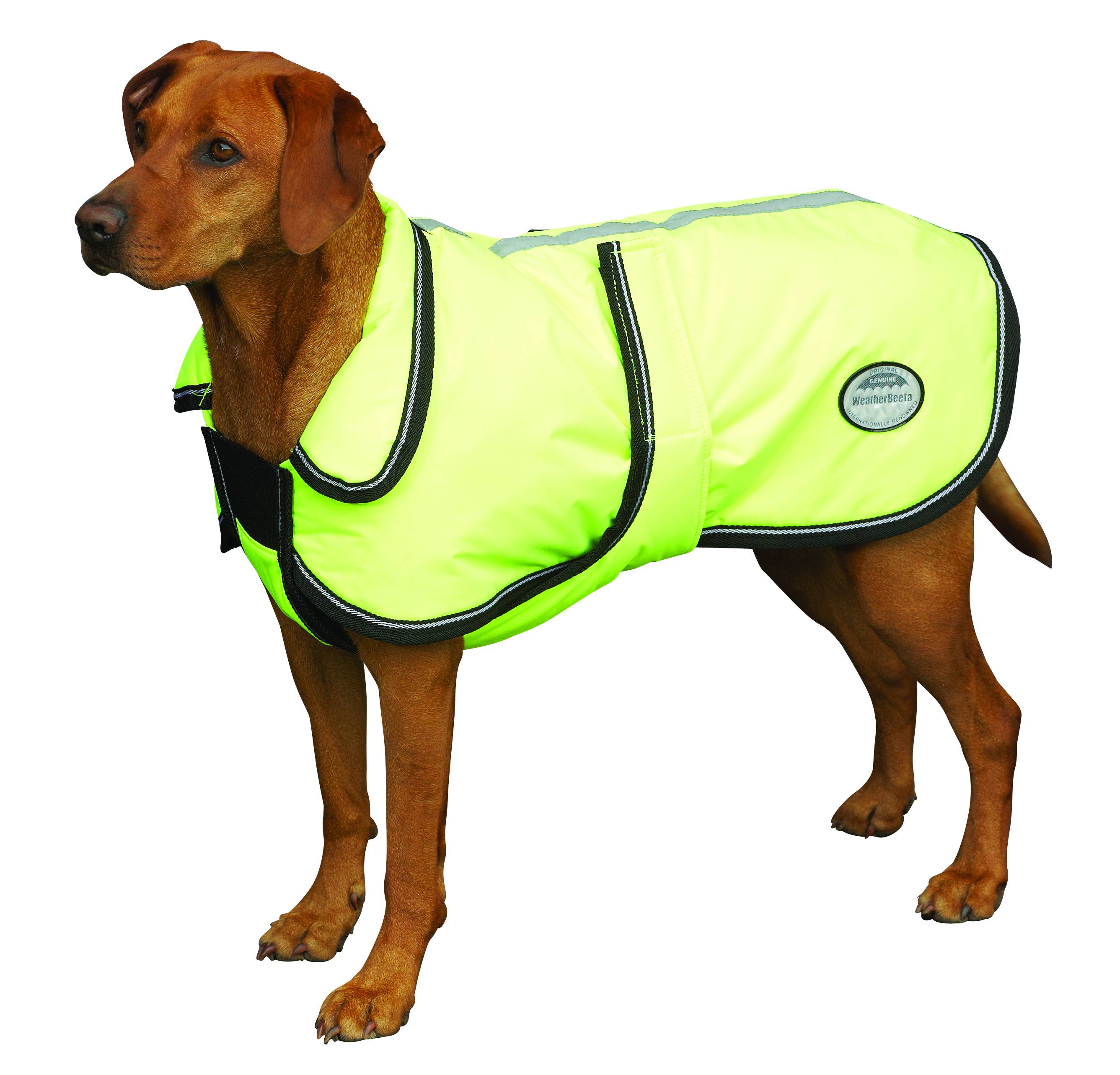 Weatherbeeta Comfitecreflective Parka 300D Deluxe Dog Coat eBay