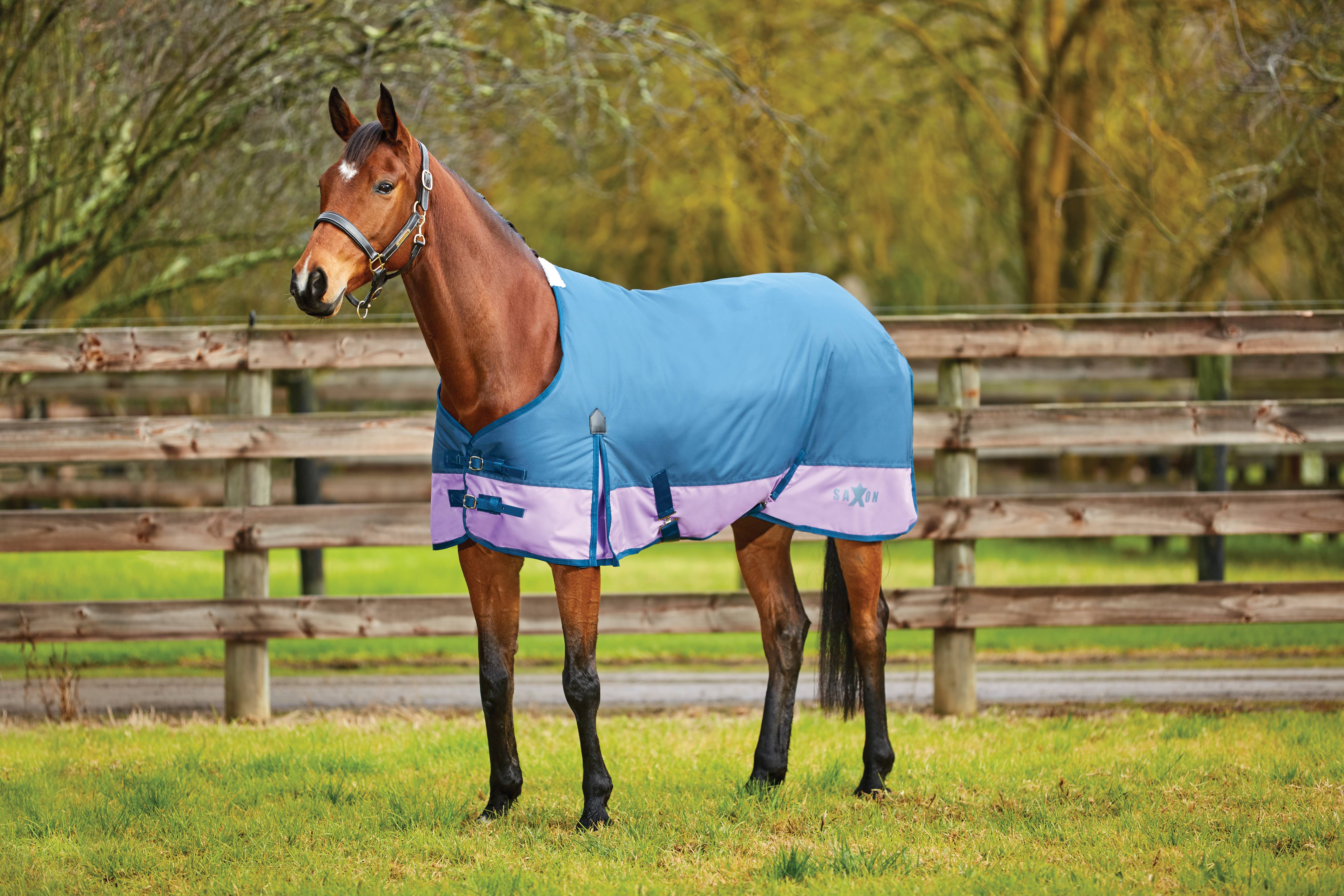 212236 Saxon 600D Standard Neck Lite Turnout Blanket With