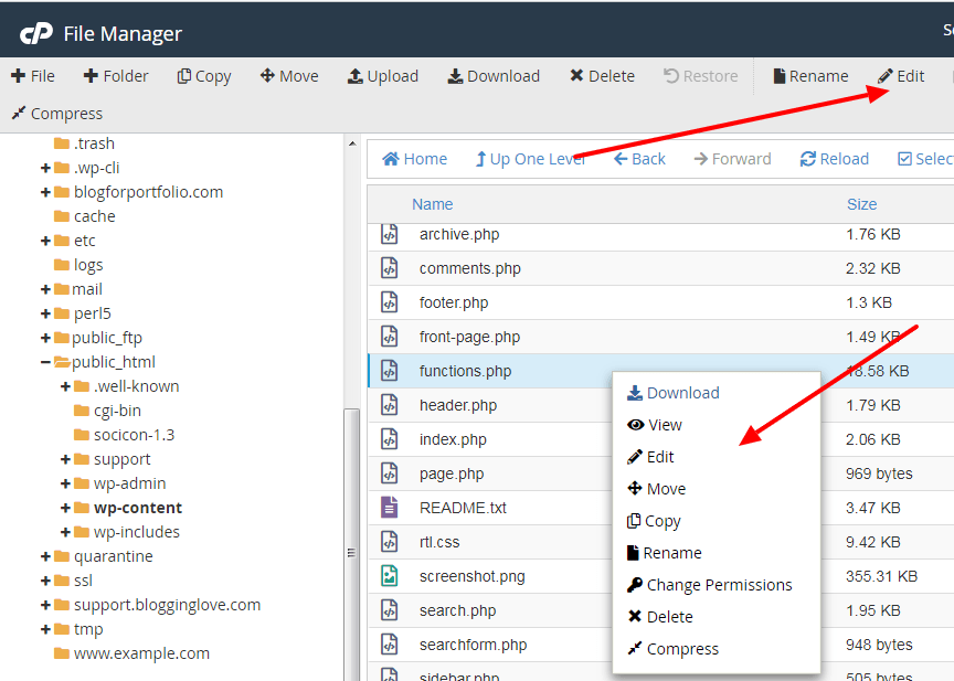 How to Properly Add a JavaScript File to WordPress Theme Using cPanel