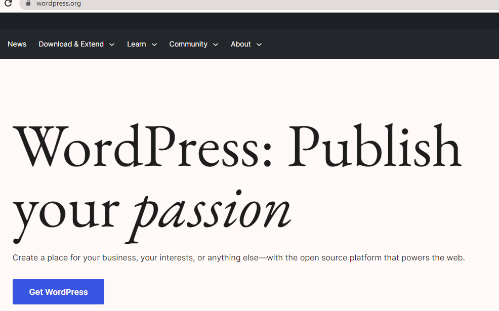 How Much Does It Cost to Build a WordPress Website in 2021?