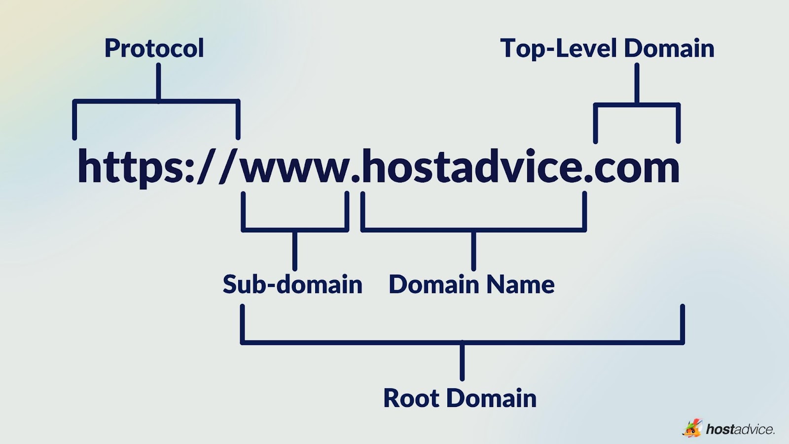 Domain vs. URL Understanding the Key Differences