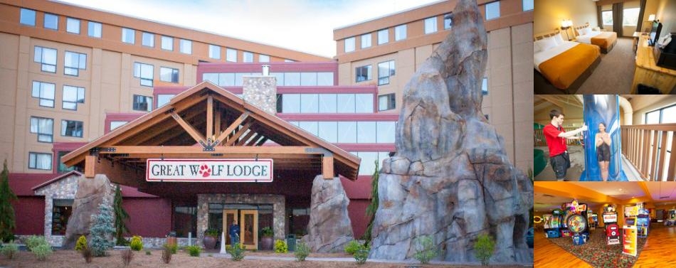 Great Wolf Lodge Size Chart - Ponasa