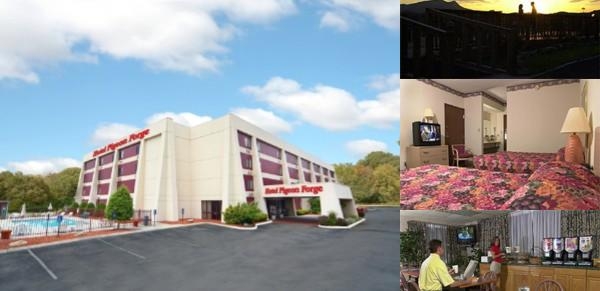 Cheap Hotels In Pigeon On The Strip 17 You can discover top