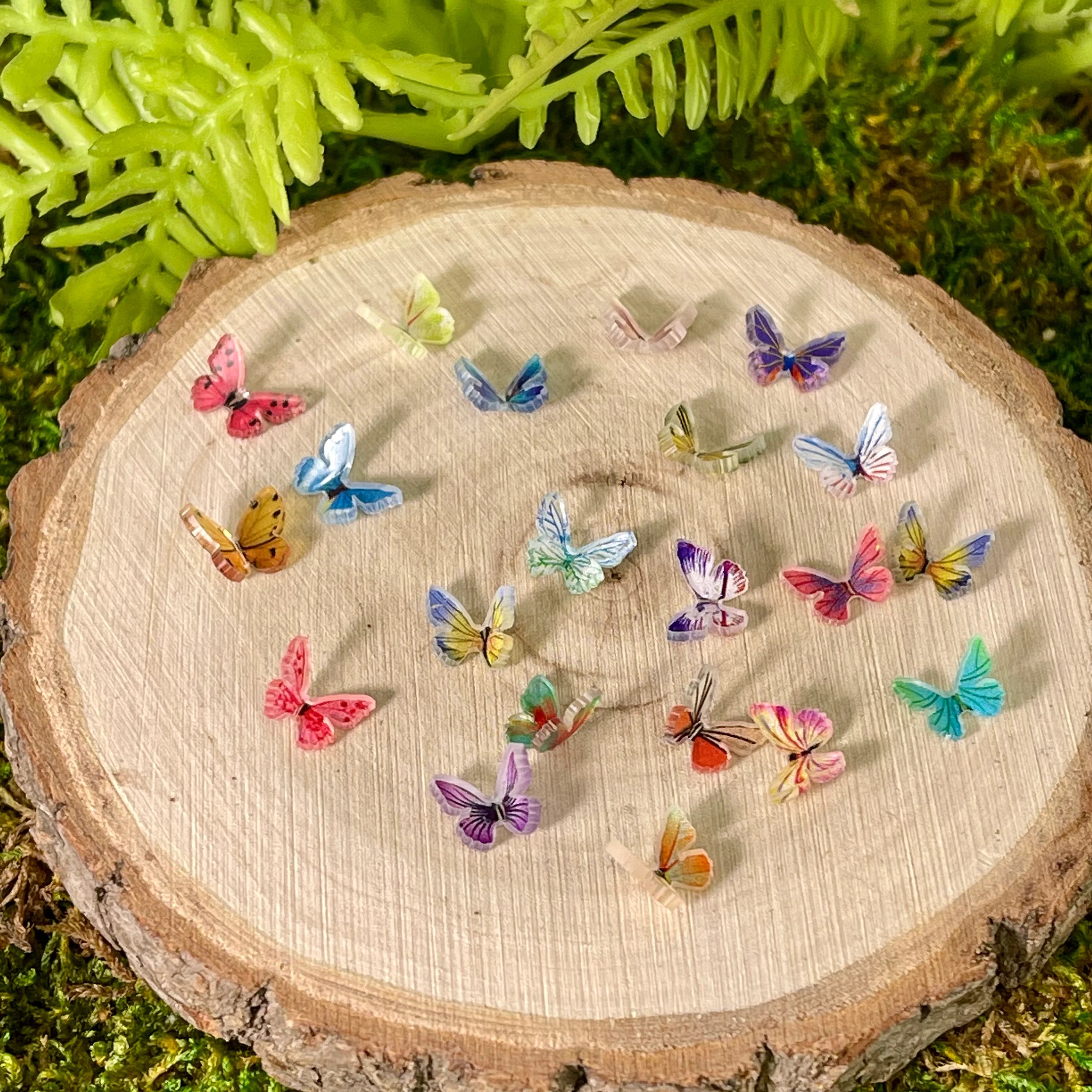 🦋Micro Miniature Butterflies peekari