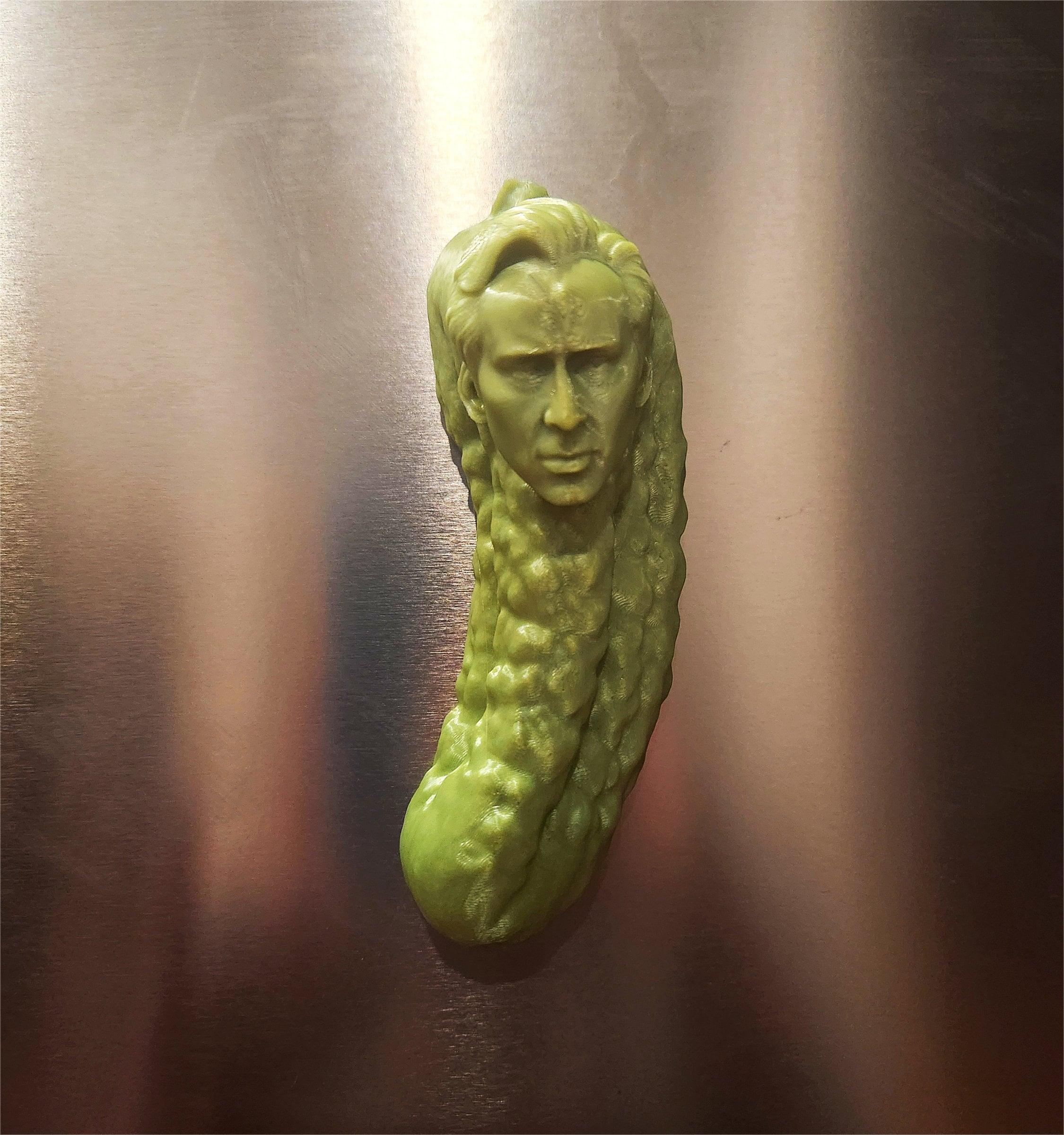 Picolas Cage Fridge Great funny gift for friends🎁