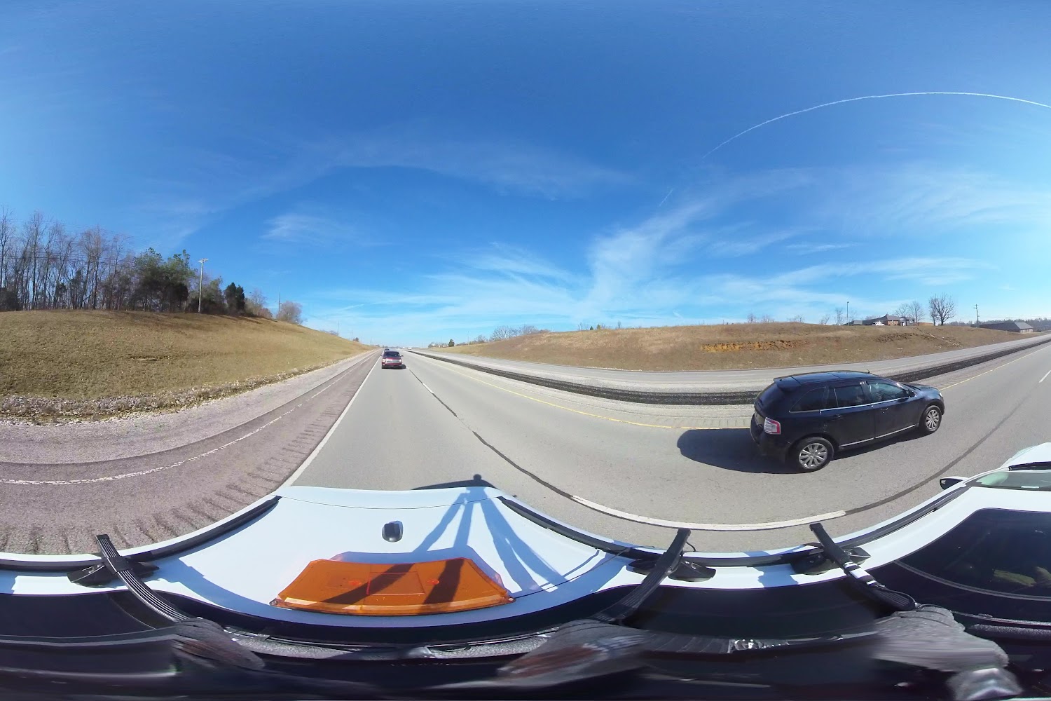 Animal Hospital in Elizabethtown, KY CountyInfo