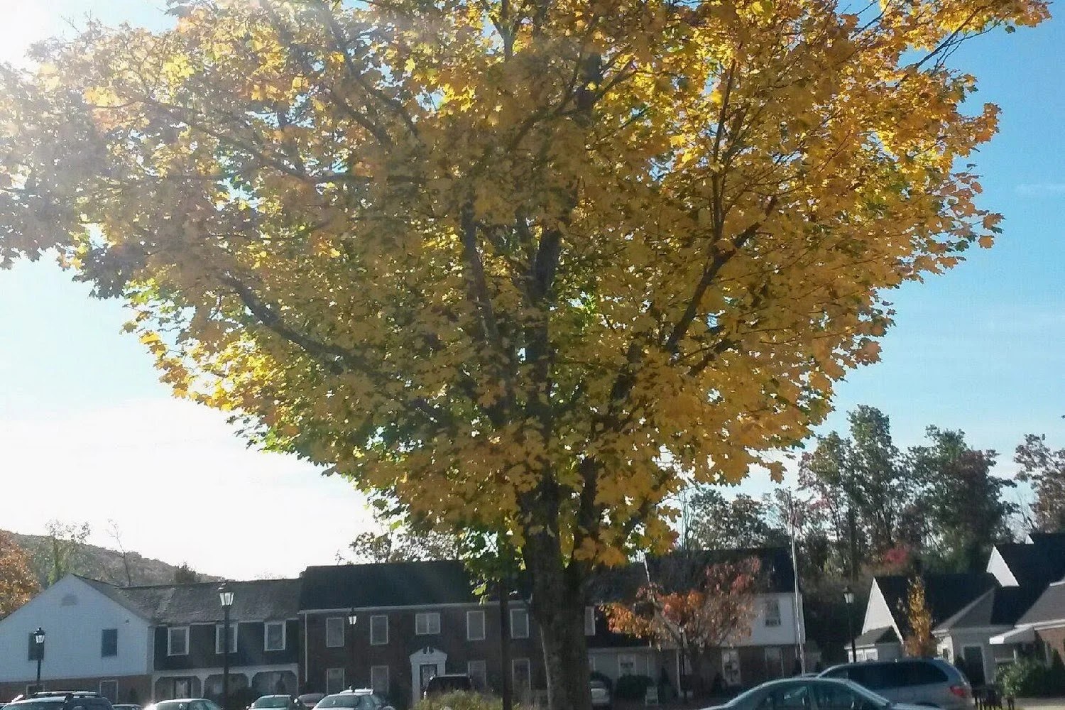 Housing Authority in Hampden County, MA CountyInfo