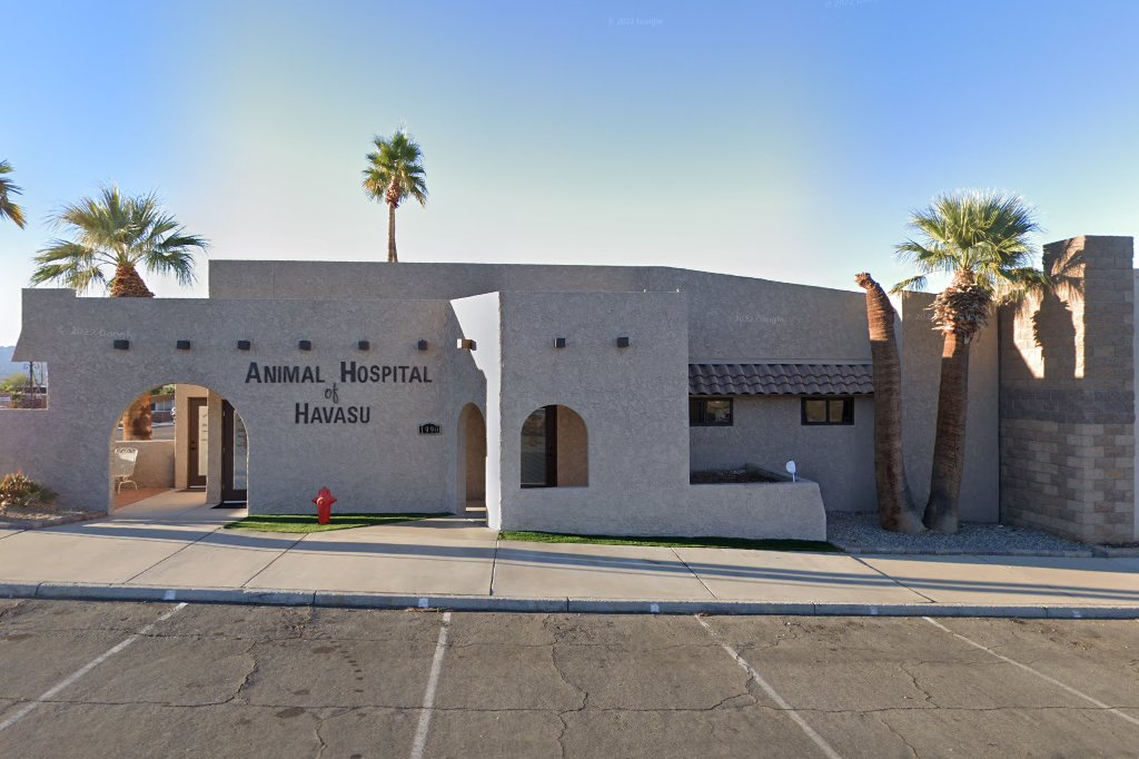 Animal Hospital Of Havasu Lake Havasu City Az at Magnolia Campos blog
