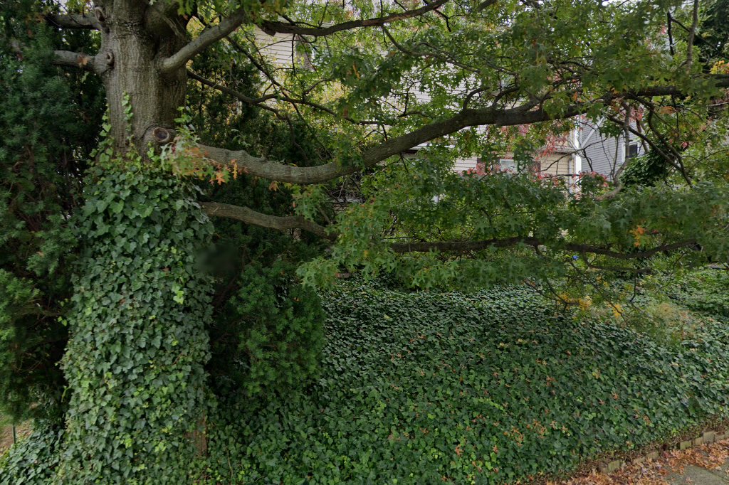 Housing Authority in Essex County, NJ CountyInfo