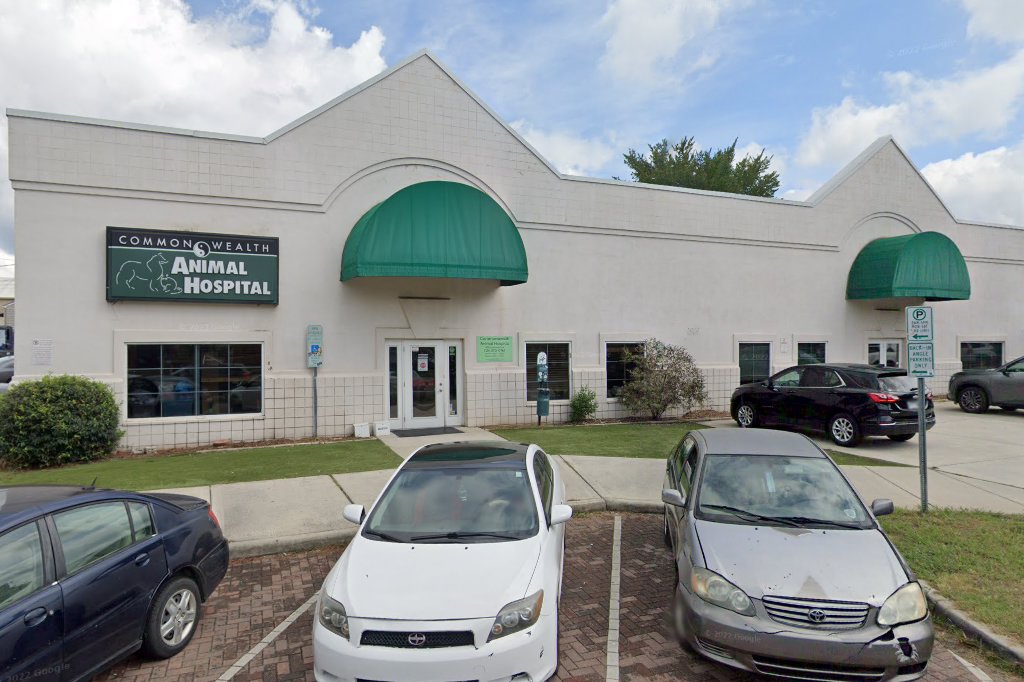 Animal Hospital in Charlotte, NC CountyInfo