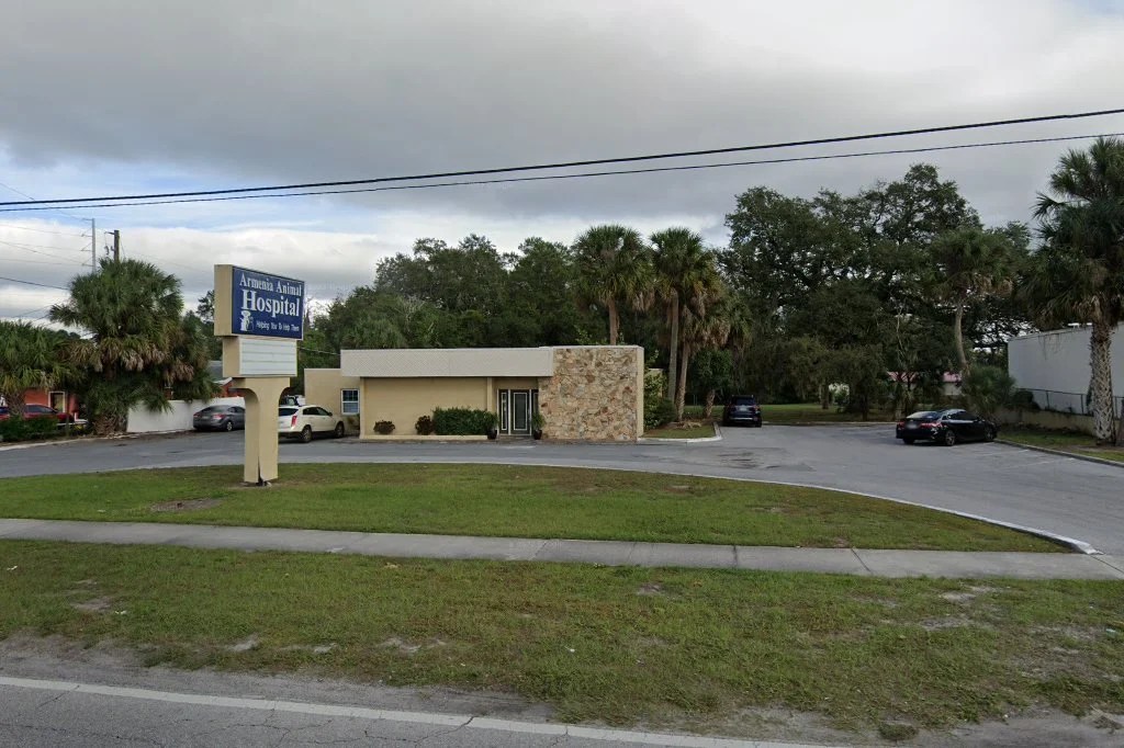 Animal Hospital in Tampa, FL CountyInfo