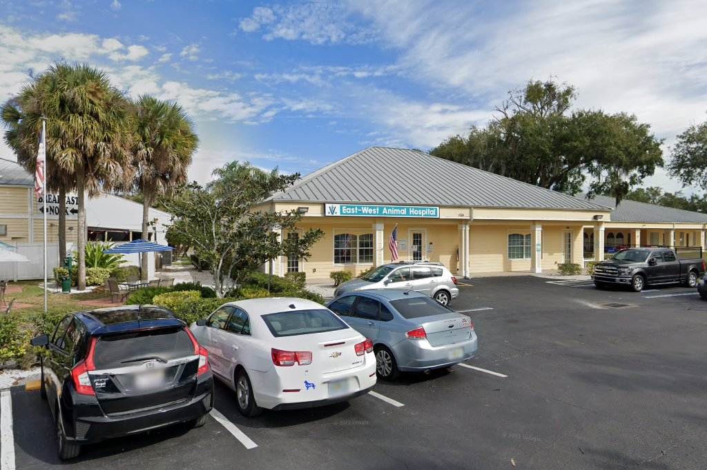 Animal Hospital in Lutz, FL CountyInfo