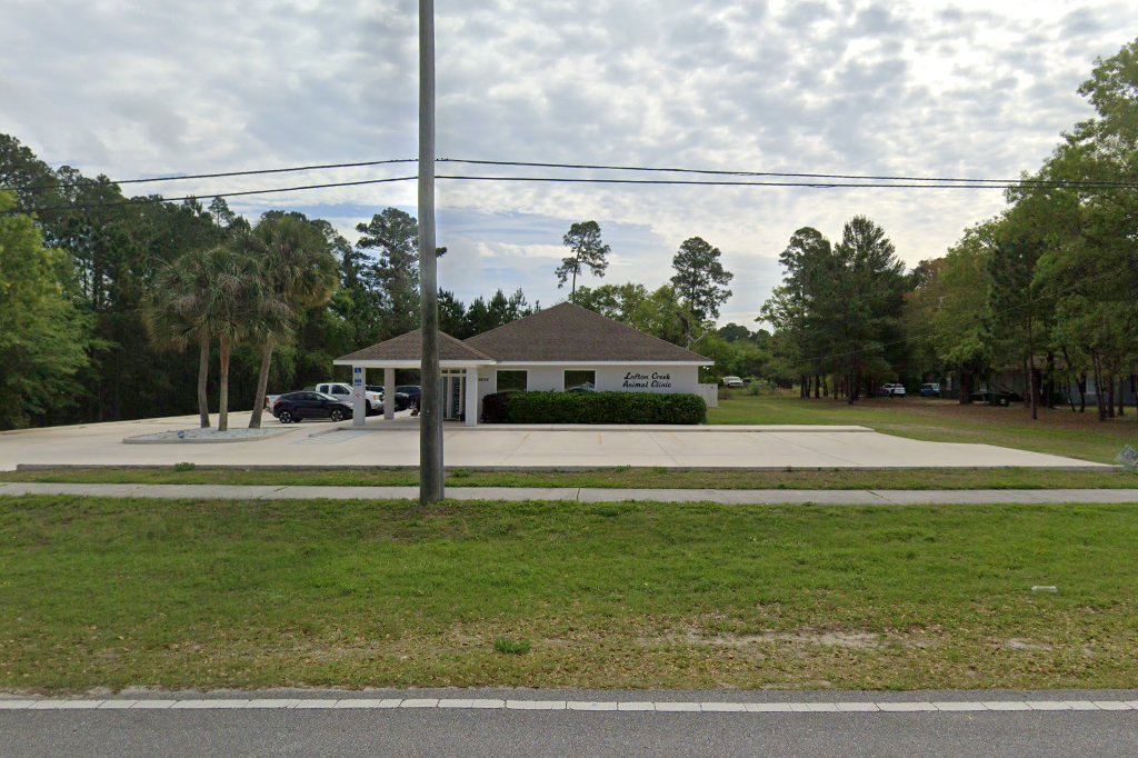 Animal Hospital in Yulee, FL CountyInfo