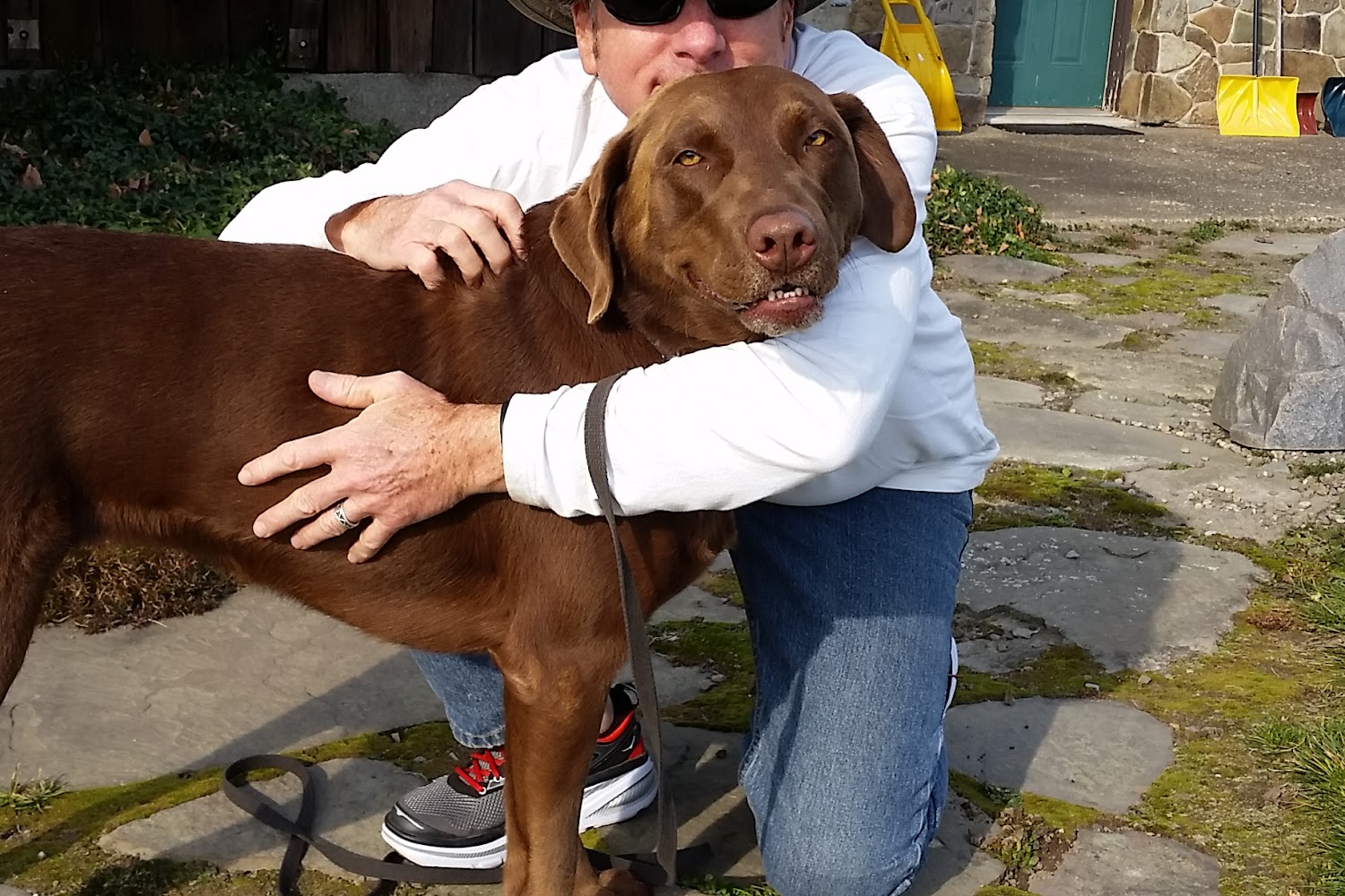 Animal Shelter in Corning, NY CountyInfo