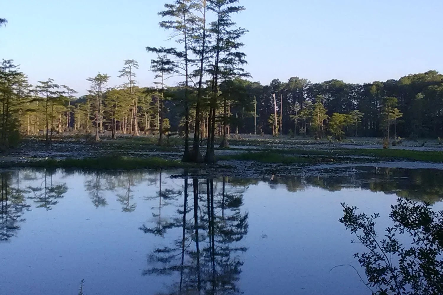 Housing Authority in Robeson County, NC CountyInfo