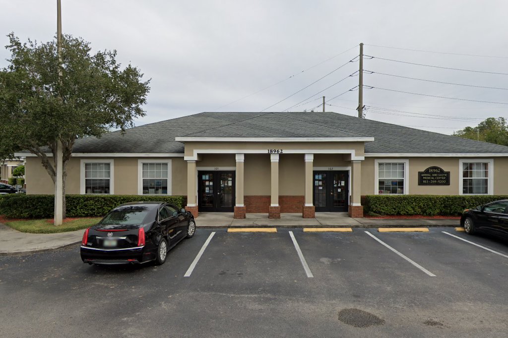Animal Hospital in Lutz, FL CountyInfo
