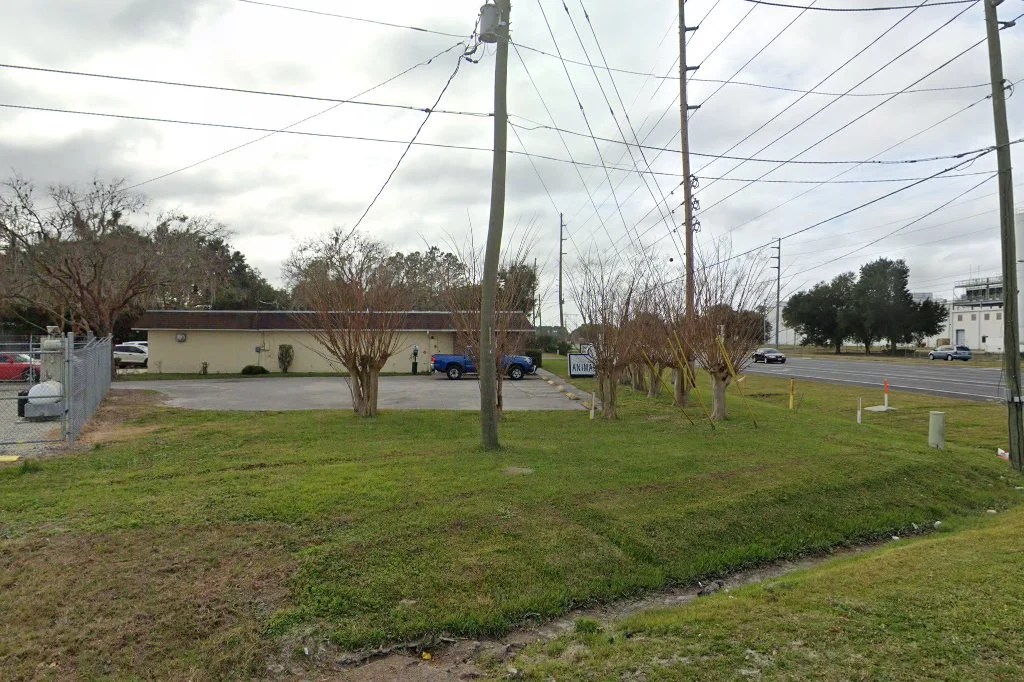 Animal Hospital in Lake County, FL CountyInfo