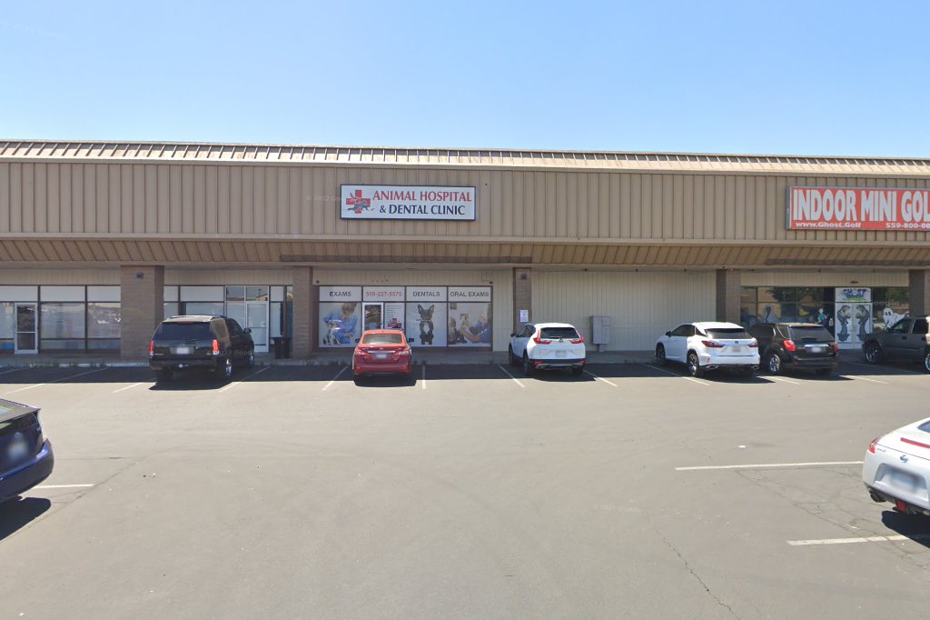Animal Hospital in Fresno, CA CountyInfo