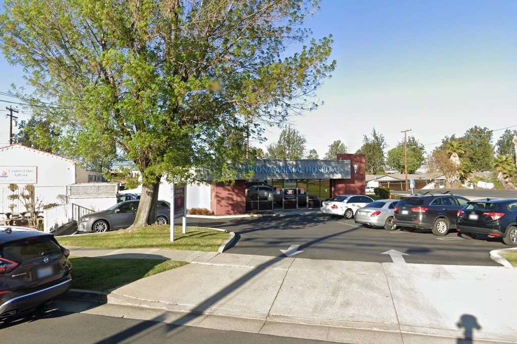 Animal Hospital in Riverside County, CA CountyInfo