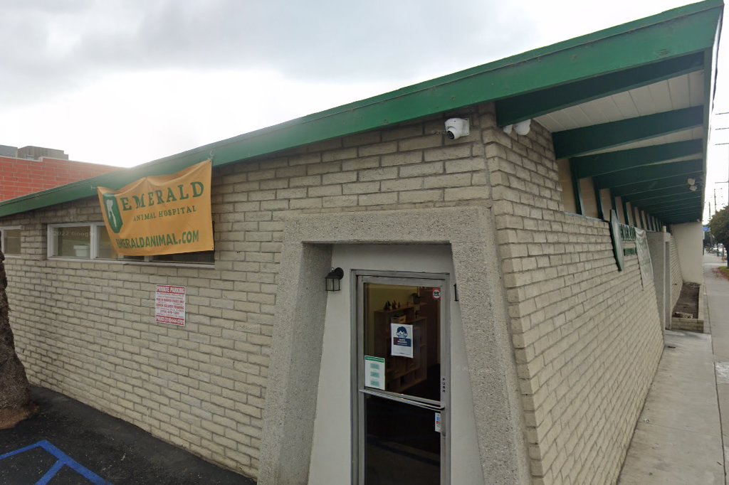 VCA Brentwood Animal Hospital in Los Angeles, CA CountyInfo