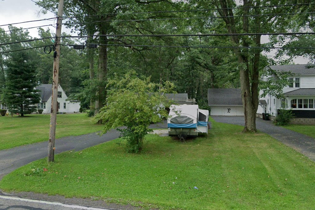 Ohio Pet Placement in Elyria, OH CountyInfo