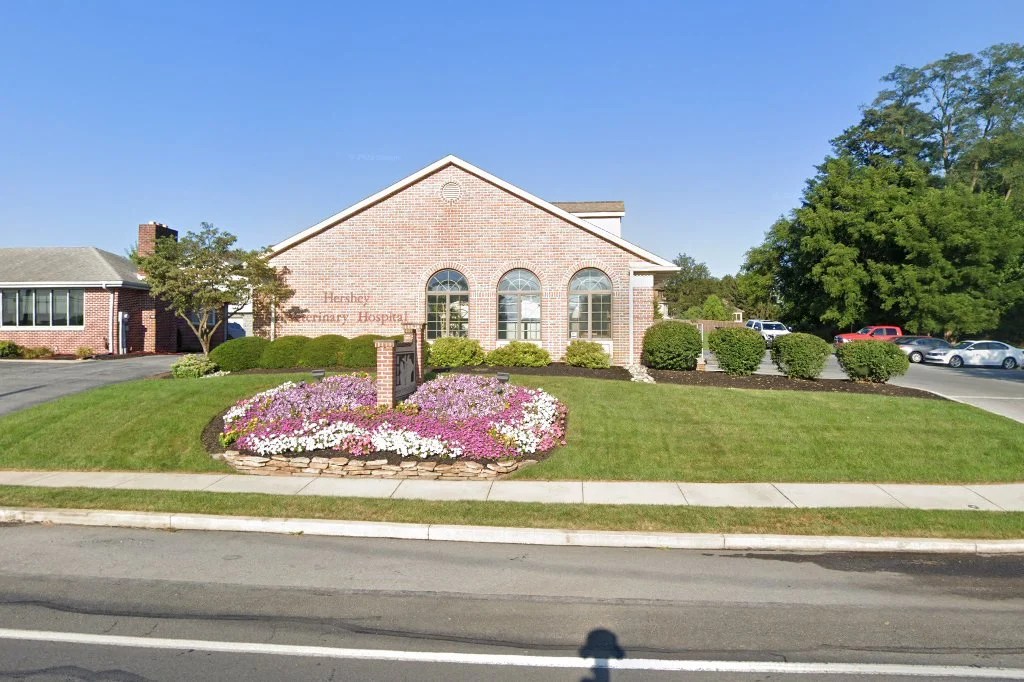 Animal Hospital in Dauphin County, PA CountyInfo