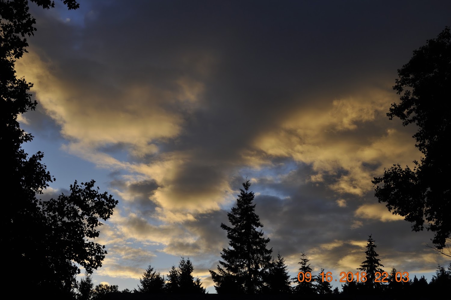 Housing Authority in King County, WA CountyInfo