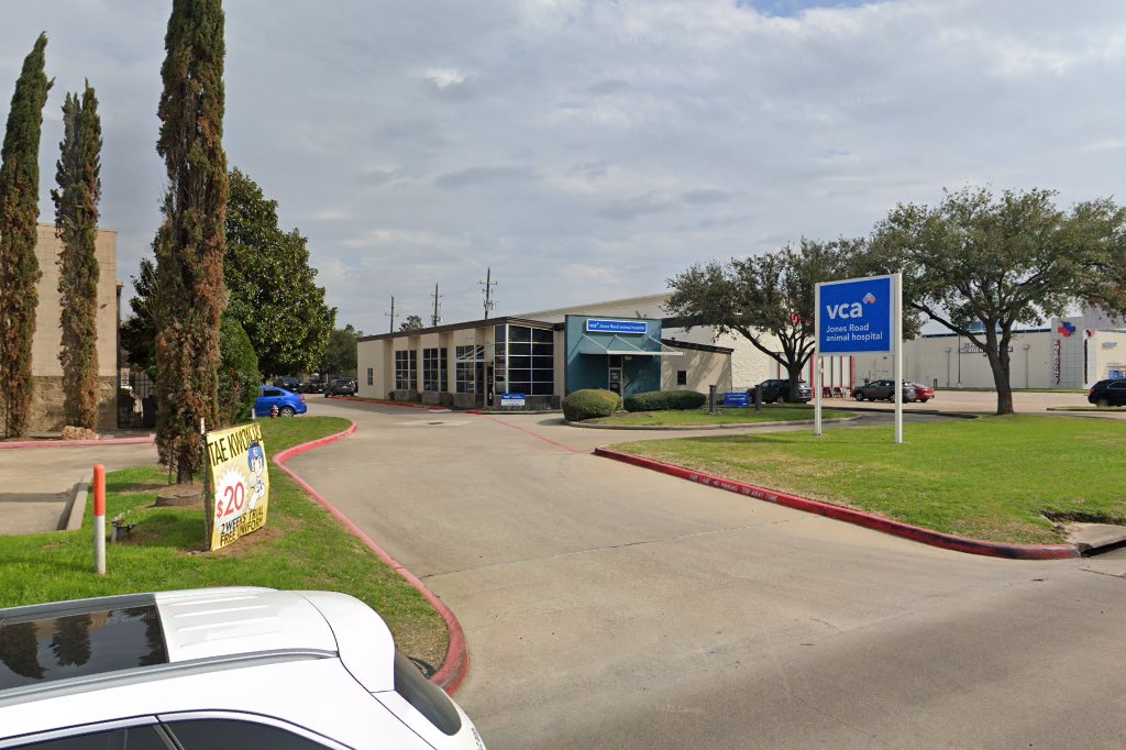 Animal Hospital in Houston, TX CountyInfo