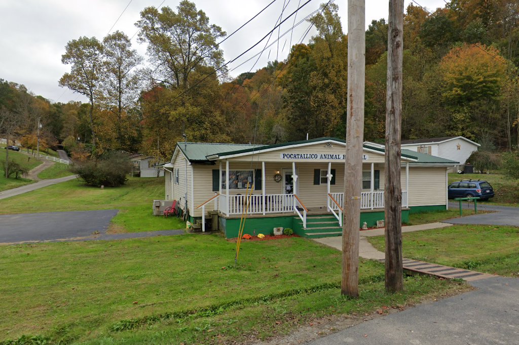 Animal Hospital in Charleston, WV CountyInfo