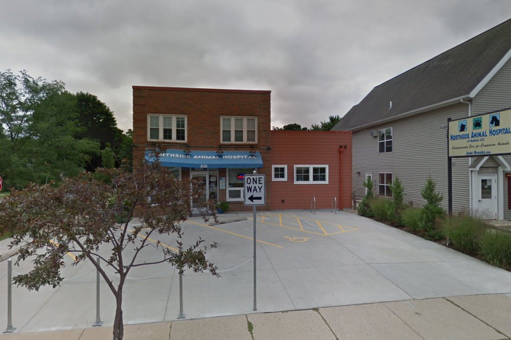Animal Hospital in Madison, WI CountyInfo