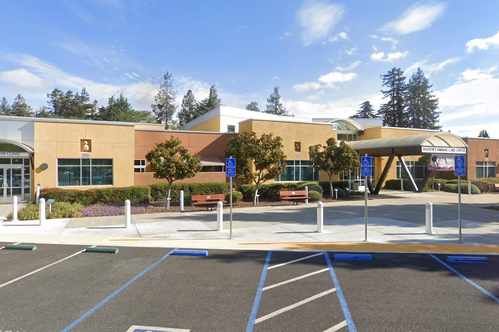 Animal Shelter in Contra Costa County, CA CountyInfo