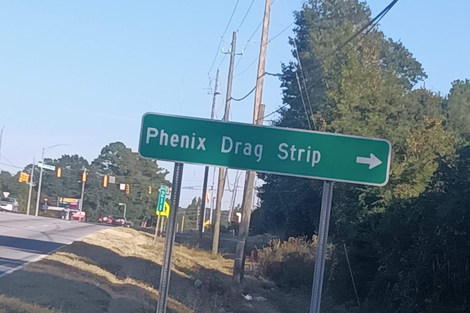 Boykin Spaniel Rescue in Eufaula, AL CountyInfo