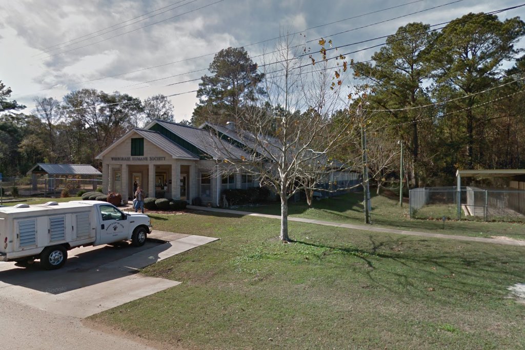 Animal Shelter in Dothan, AL CountyInfo