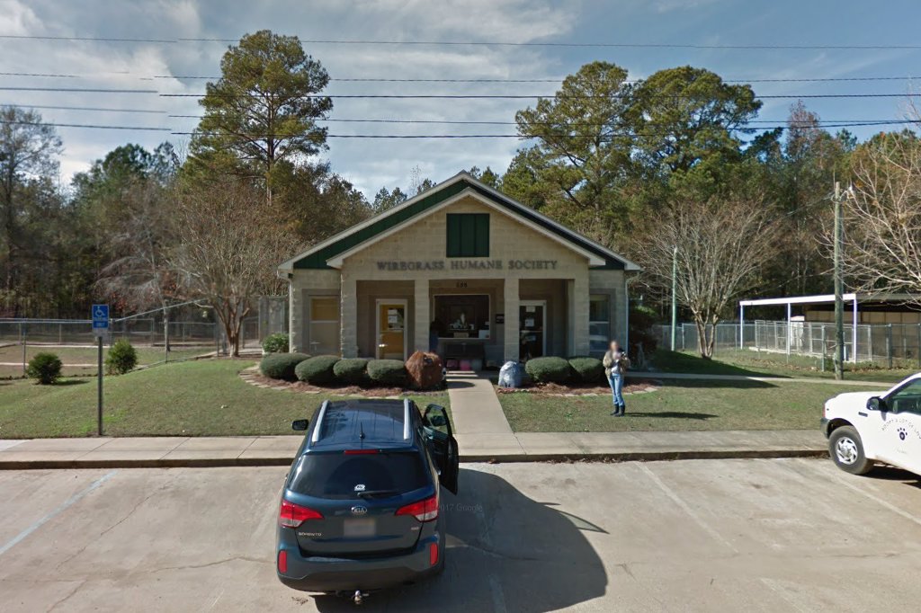 Animal Shelter in Dothan, AL CountyInfo