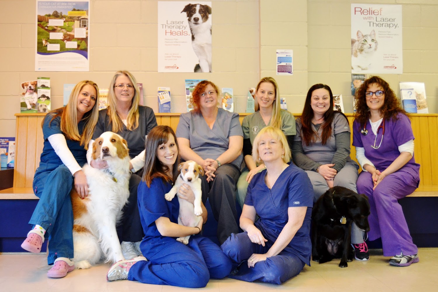 Animal Hospital in Ocean County, NJ CountyInfo