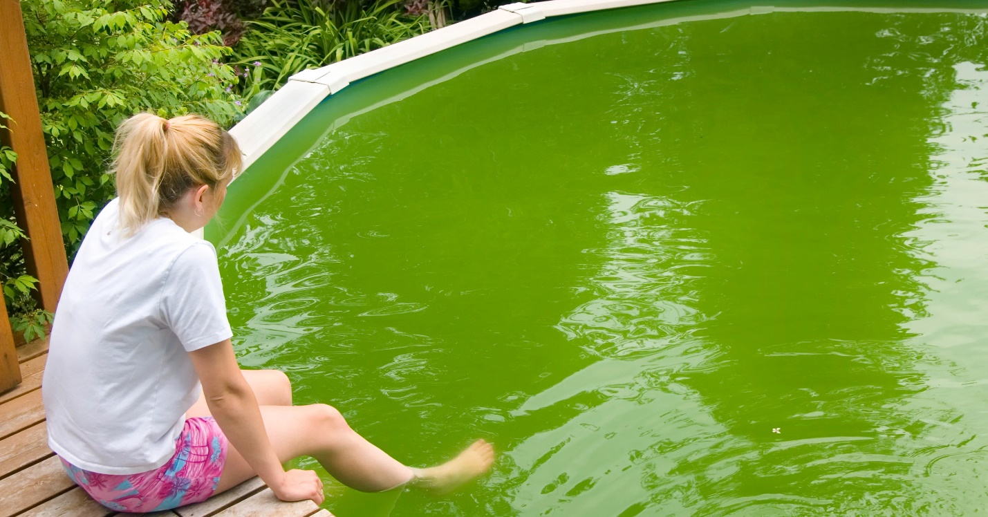 Complete guidance to cleaning a green swimming pool HouseAffection
