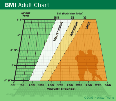 Body Mass Index | Howstuffworks