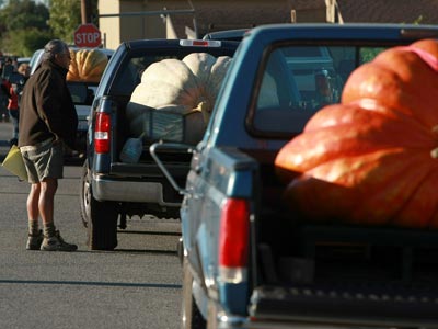 Knowing your vehicle&rsquo;s payload limits will make planning easier and your drive a lot safer.