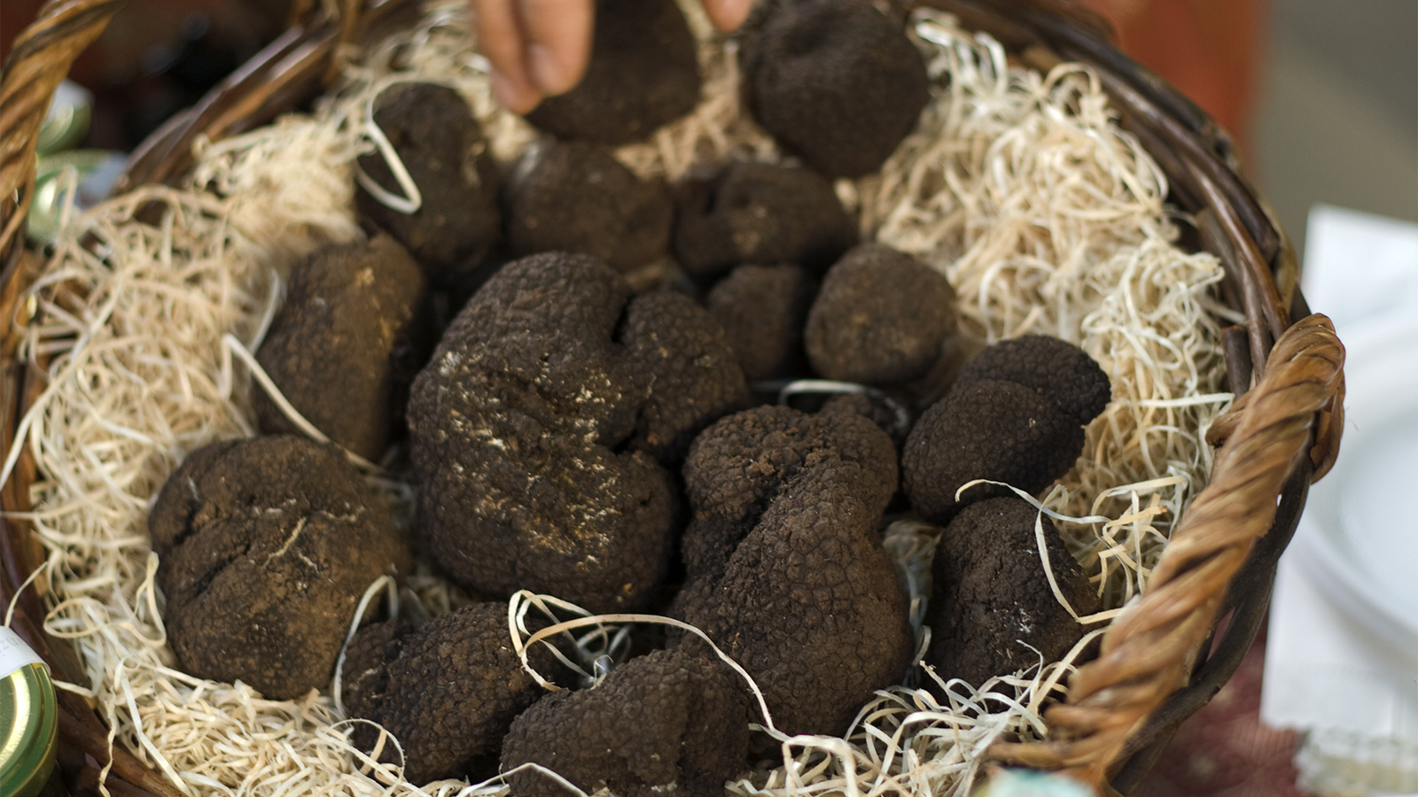 Truffles Cost Per Kilo at Carol Jennings blog