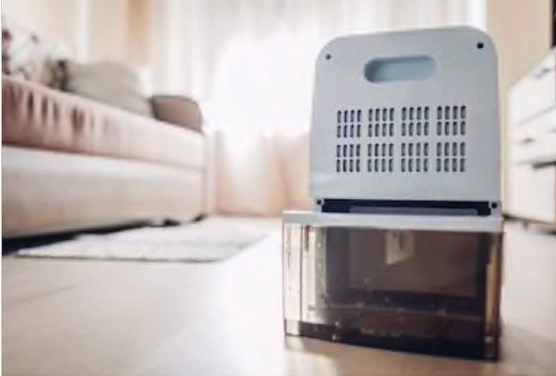 How Long Does It Take For a Dehumidifier to Start Collecting Water