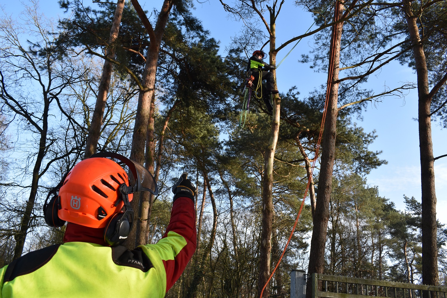 Vacature Praktijktrainer / instructeur Motorkettingzagen en tuin en