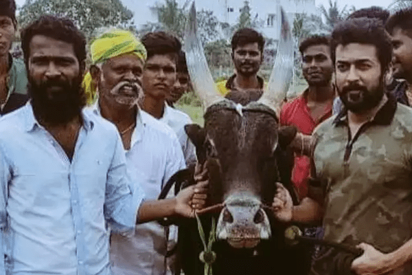வாடிவாசல் படம் இப்போதே பல கோடி வசூலை அள்ளிவிட்டதா! செம மாஸ் வாடிவாசல் படம் இப்போதே பல கோடி வசூலை அள்ளிவிட்டதா! செம மாஸ்