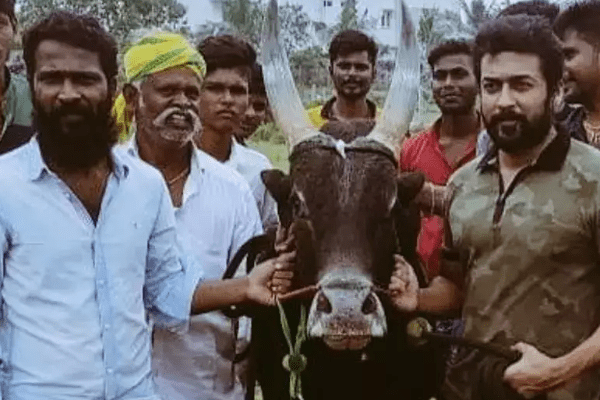 வாடிவாசல் படத்தின் படப்பிடிப்பு எப்போது.. வெற்றிமாறன் கொடுத்த மாஸ் அப்டேட் வாடிவாசல் படத்தின் படப்பிடிப்பு எப்போது.. வெற்றிமாறன் கொடுத்த மாஸ் அப்டேட்