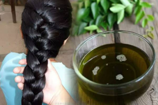 முடி வளர்ச்சியை முழங்கால் வரை அதிகரிக்க உதவும் மூலிகை எண்ணெய்: எப்படி தயாரிப்பது? முடி வளர்ச்சியை முழங்கால் வரை அதிகரிக்க உதவும் மூலிகை எண்ணெய்: எப்படி தயாரிப்பது?