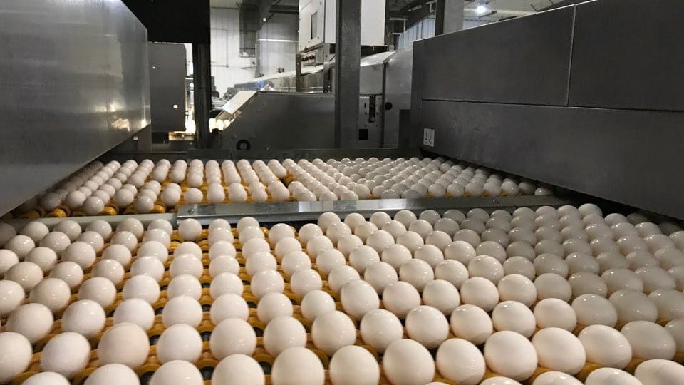 Soaring U.S. egg prices put pressure on consumers, businesses