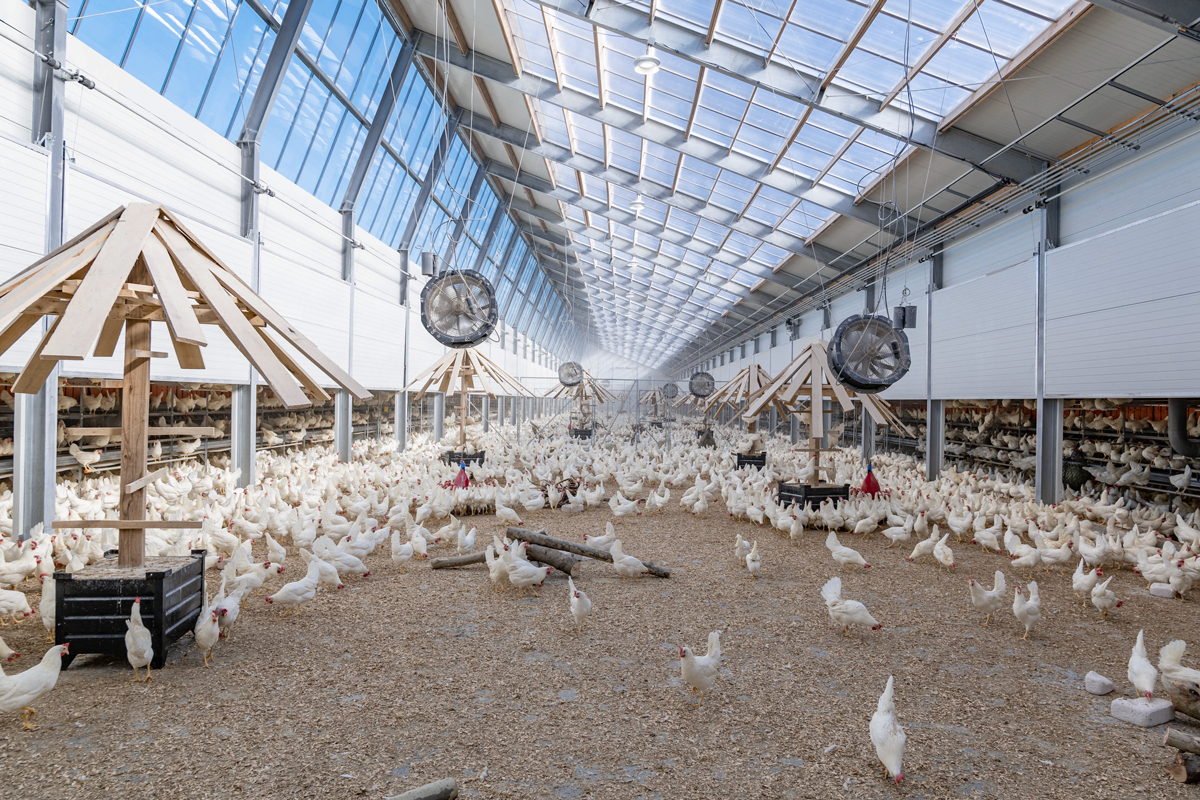 MPS offers first carbonneutral eggs for U.S. consumer market Indianapolis Business Journal