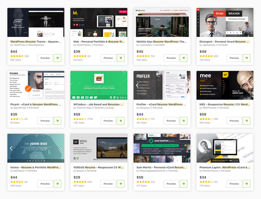 25+ Best WordPress Resume Themes For Your Personal site (Free