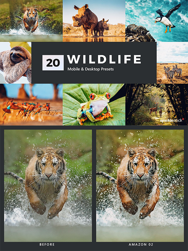 27 Best Lightroom Presets for Creative Photographers iDevie