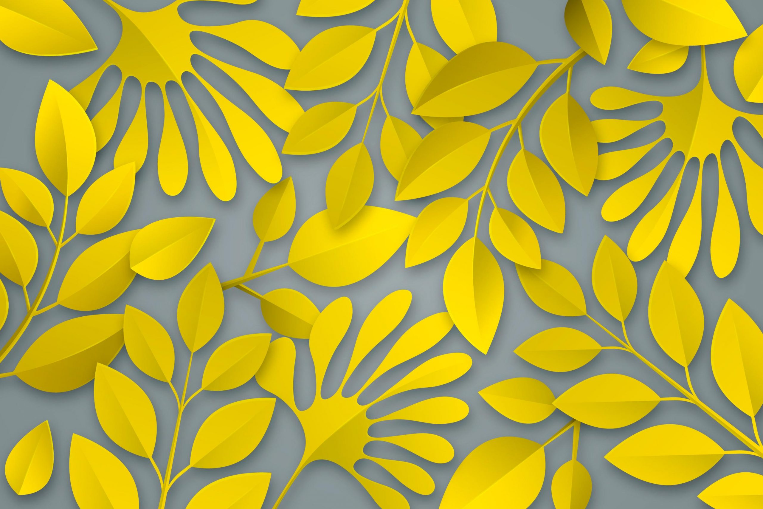 21 Cool and Vibrant Grey and Yellow Backgrounds for 2021 iDevie